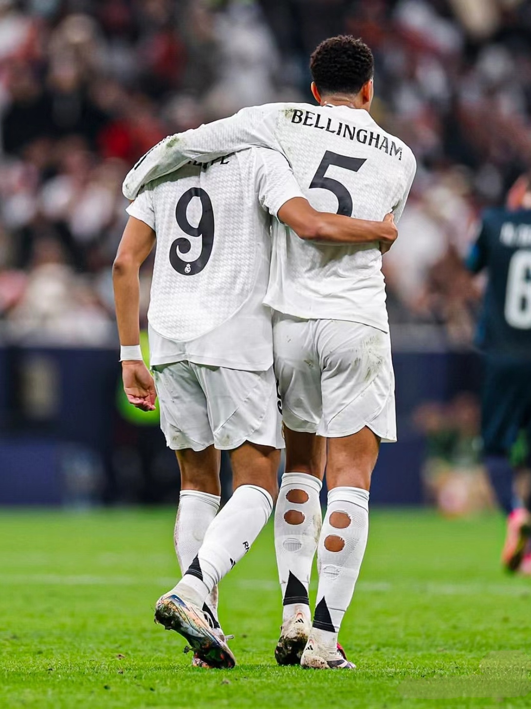 疑的声音 疑的声音